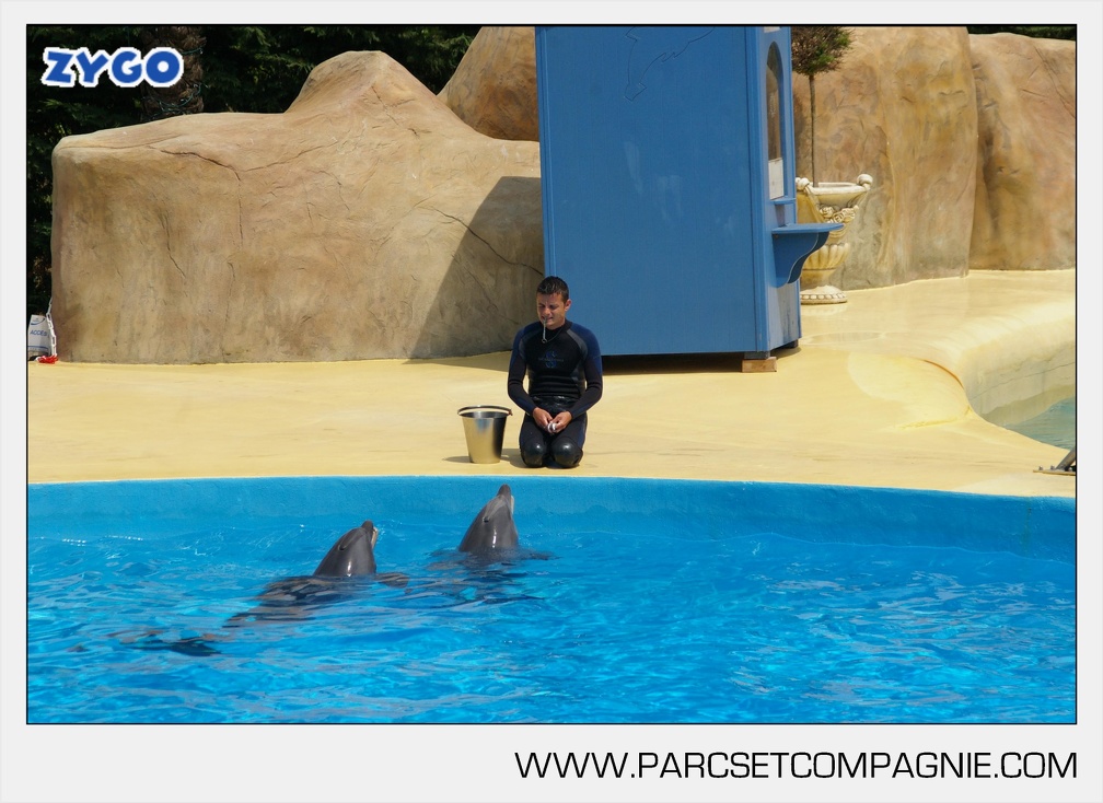 Marineland - Dauphins - Spectacle - 14h30 - 3738