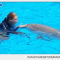Marineland - Dauphins - Spectacle - 14h30 - 3739