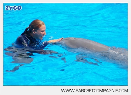 Marineland - Dauphins - Spectacle - 14h30 - 3739