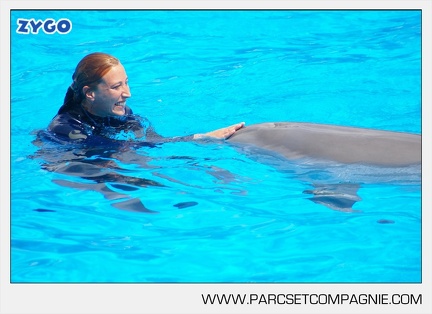 Marineland - Dauphins - Spectacle - 14h30 - 3740