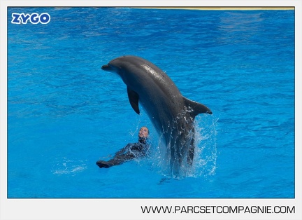 Marineland - Dauphins - Spectacle - 14h30 - 3741