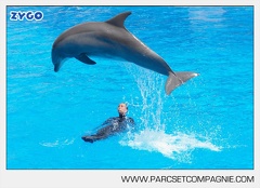 Marineland - Dauphins - Spectacle - 14h30 - 3742