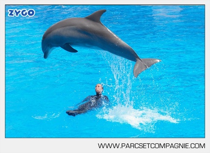 Marineland - Dauphins - Spectacle - 14h30 - 3742