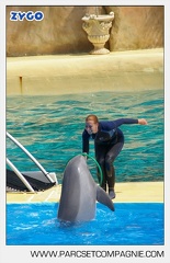Marineland - Dauphins - Spectacle - 14h30 - 3746