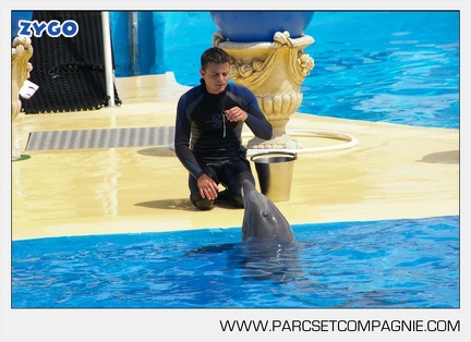 Marineland - Dauphins - Spectacle - 14h30 - 3748