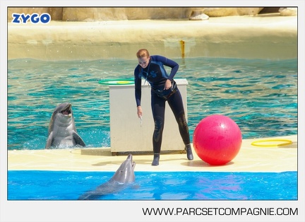 Marineland - Dauphins - Spectacle - 14h30 - 3749