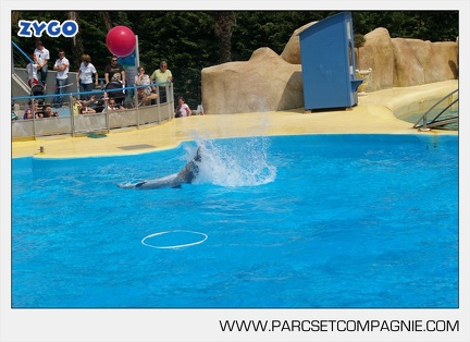 Marineland - Dauphins - Spectacle - 14h30 - 3750