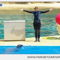 Marineland - Dauphins - Spectacle - 14h30 - 3751