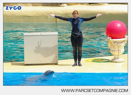 Marineland - Dauphins - Spectacle - 14h30 - 3751