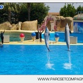 Marineland - Dauphins - Spectacle - 14h30 - 3753