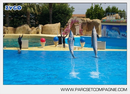 Marineland - Dauphins - Spectacle - 14h30 - 3753