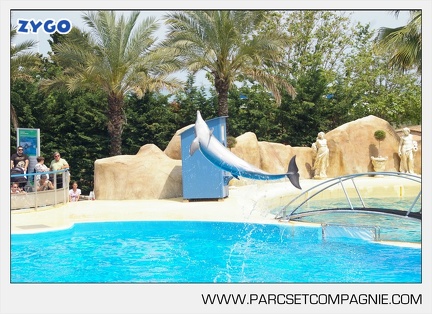 Marineland - Dauphins - Spectacle - 14h30 - 3754