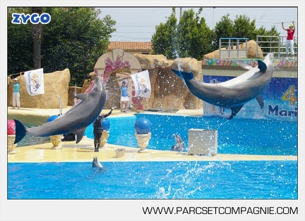 Marineland - Dauphins - Spectacle - 14h30 - 3755