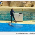 Marineland - Dauphins - Spectacle - 14h30 - 3756