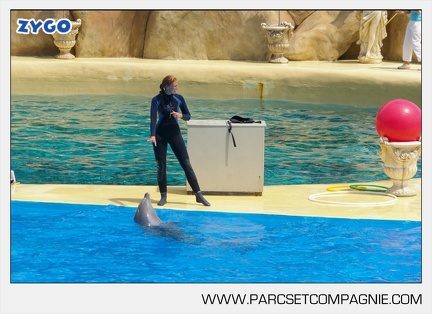 Marineland - Dauphins - Spectacle - 14h30 - 3756