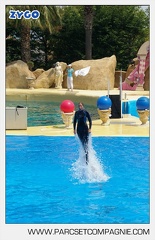 Marineland - Dauphins - Spectacle - 14h30 - 3757