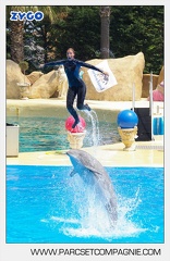 Marineland - Dauphins - Spectacle - 14h30 - 3758