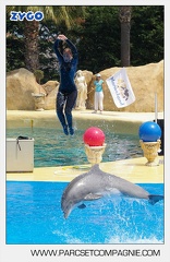 Marineland - Dauphins - Spectacle - 14h30 - 3759
