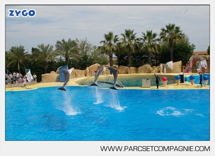 Marineland - Dauphins - Spectacle - 14h30 - 3760