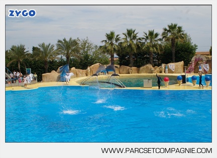 Marineland - Dauphins - Spectacle - 14h30 - 3761