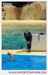 Marineland - Dauphins - Spectacle - 14h30 - 3762