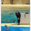 Marineland - Dauphins - Spectacle - 14h30 - 3762