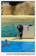 Marineland - Dauphins - Spectacle - 14h30 - 3763