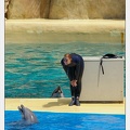 Marineland - Dauphins - Spectacle - 14h30 - 3763