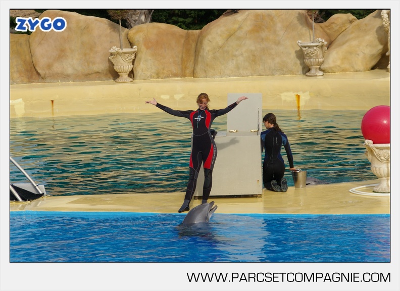Marineland - Dauphins - Spectacle - 17h45 - 3767
