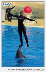 Marineland - Dauphins - Spectacle - 17h45 - 3768
