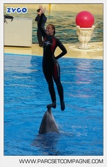 Marineland - Dauphins - Spectacle - 17h45 - 3769