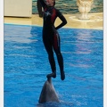 Marineland - Dauphins - Spectacle - 17h45 - 3769