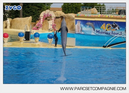 Marineland - Dauphins - Spectacle - 17h45 - 3771