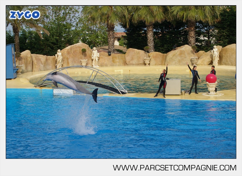 Marineland - Dauphins - Spectacle - 17h45 - 3772