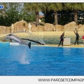Marineland - Dauphins - Spectacle - 17h45 - 3772
