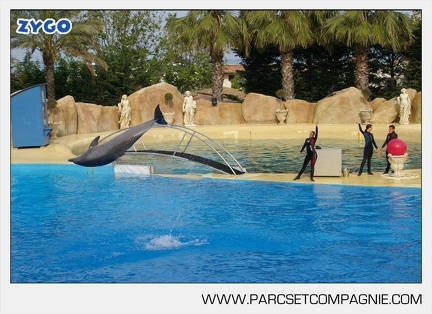 Marineland - Dauphins - Spectacle - 17h45 - 3773