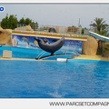 Marineland - Dauphins - Spectacle - 17h45 - 3774