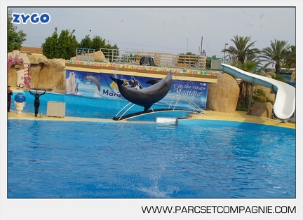 Marineland - Dauphins - Spectacle - 17h45 - 3774