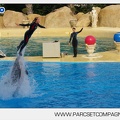Marineland - Dauphins - Spectacle - 17h45 - 3776