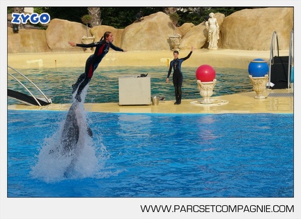 Marineland - Dauphins - Spectacle - 17h45 - 3776