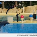 Marineland - Dauphins - Spectacle - 17h45 - 3777