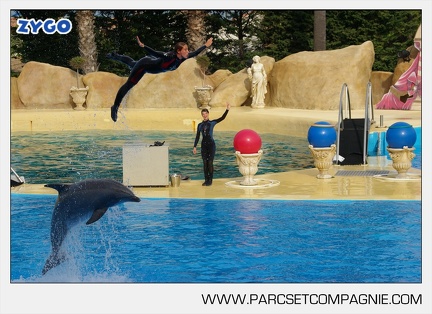 Marineland - Dauphins - Spectacle - 17h45 - 3777