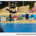 Marineland - Dauphins - Spectacle - 17h45 - 3778