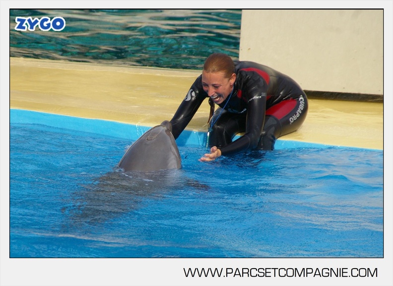 Marineland - Dauphins - Spectacle - 17h45 - 3779