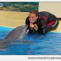 Marineland - Dauphins - Spectacle - 17h45 - 3781