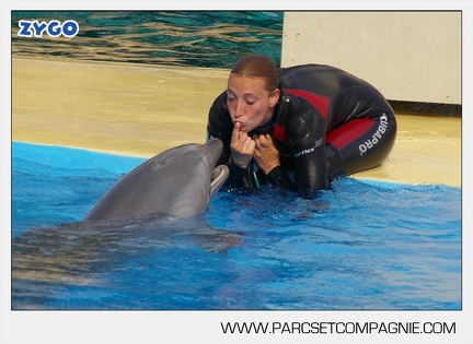 Marineland - Dauphins - Spectacle - 17h45 - 3781