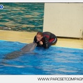 Marineland - Dauphins - Spectacle - 17h45 - 3782