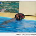 Marineland - Dauphins - Spectacle - 17h45 - 3783