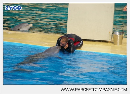 Marineland - Dauphins - Spectacle - 17h45 - 3783
