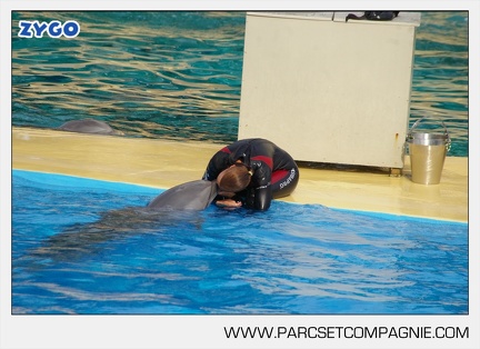 Marineland - Dauphins - Spectacle - 17h45 - 3784